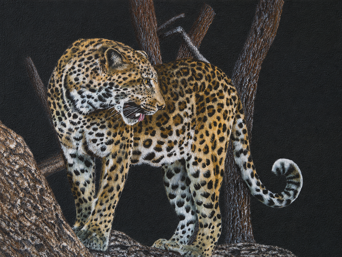 Gary Streak original oil artwork featuring a leopard standing on a tree branch against a dark background.