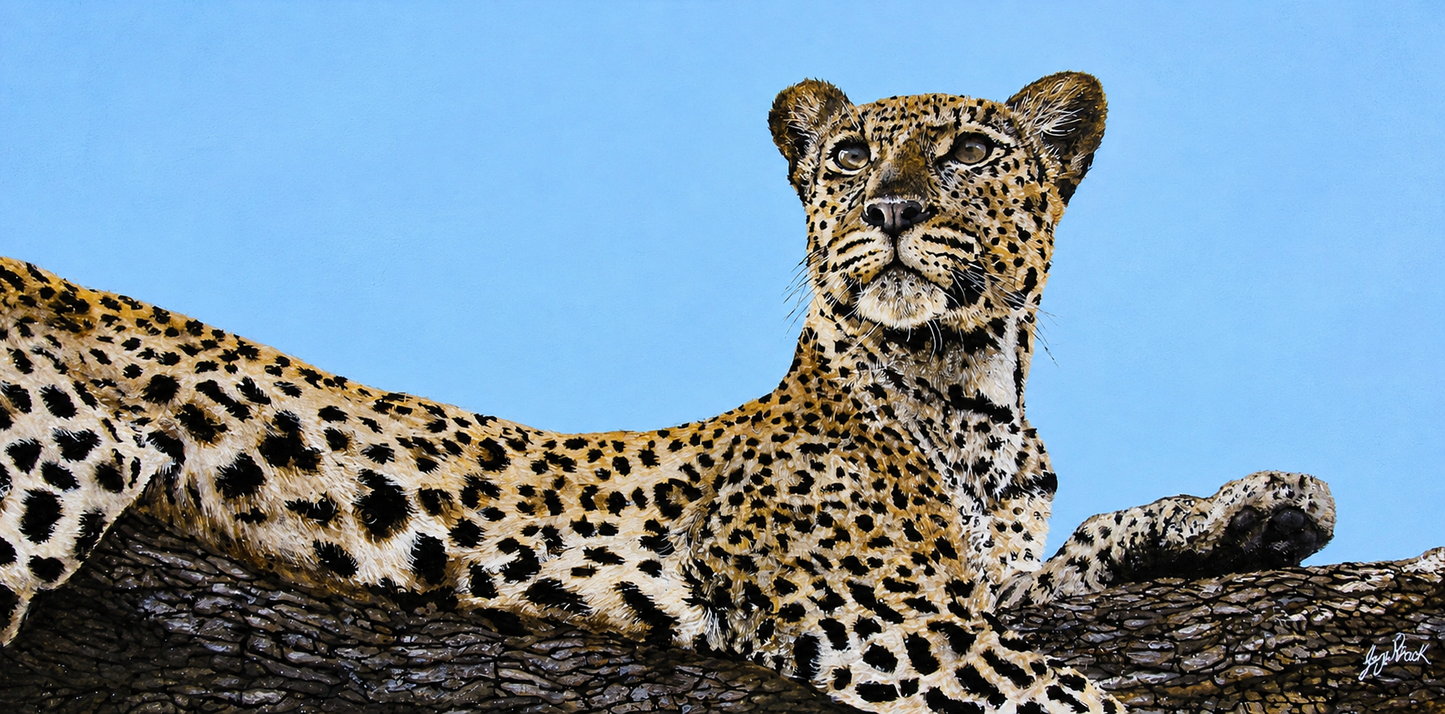 Original oil artwork featuring a leopard reclining on a tree branch against a clear blue sky.