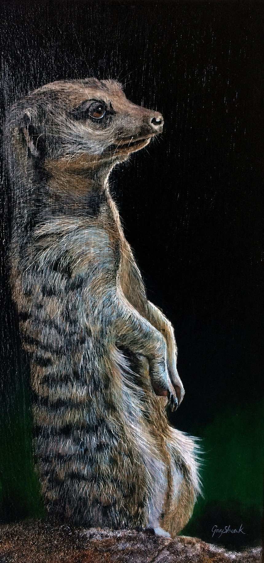 Original oil artwork featuring a meerkat standing upright in a sentinel pose against a dark background.
