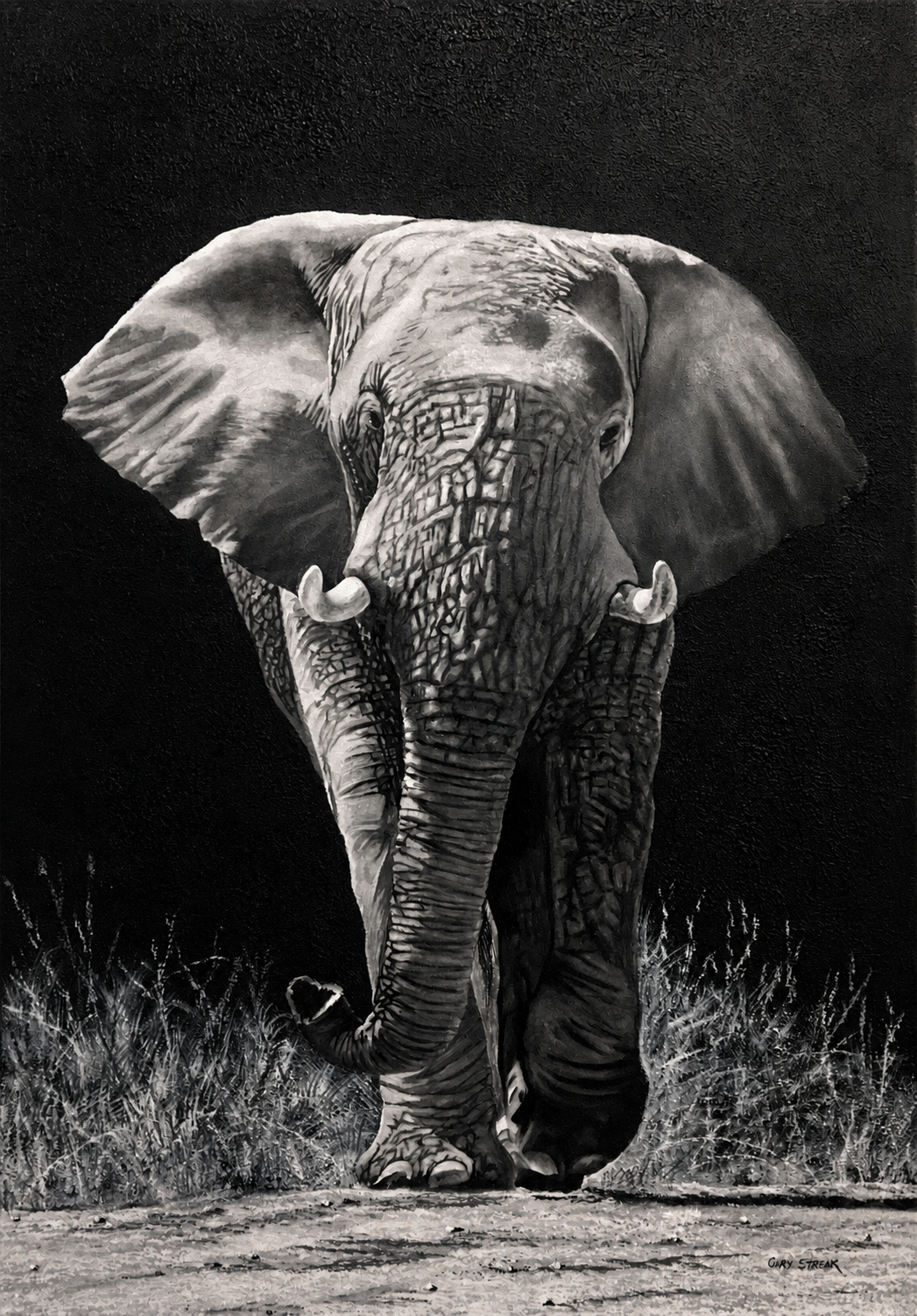 Gary Streak original oil artwork featuring a front-facing elephant in monochrome tones against a dark background.