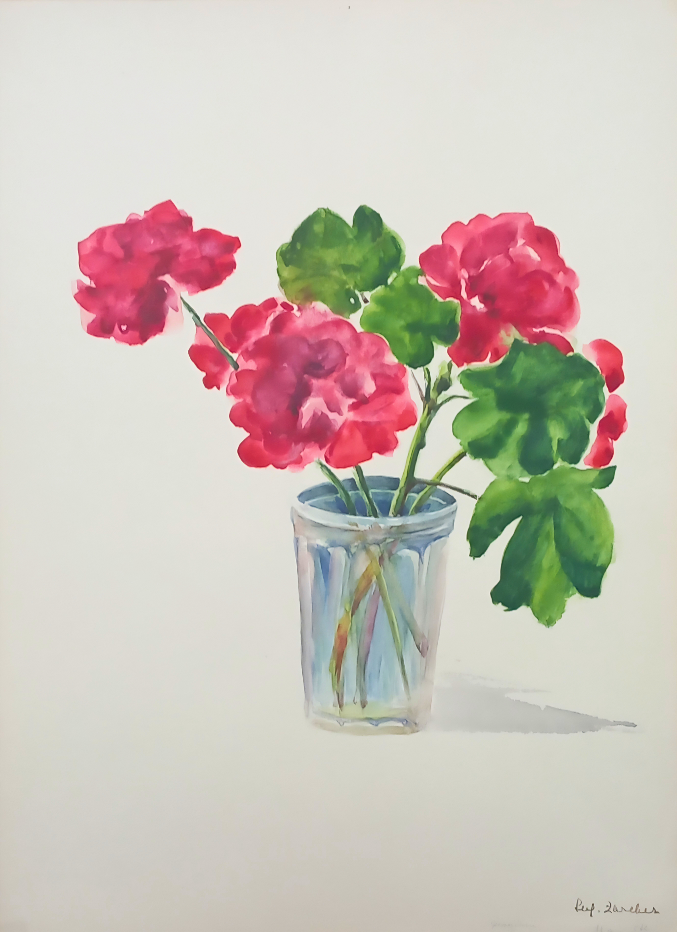 Botanical watercolour by Suz Zurcher of pink geraniums in a glass vase, with bright blooms and rounded green leaves. 