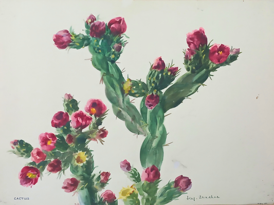 Botanical watercolour by Suz Zurcher of a prickly pear cactus with green pads, pink blooms and touches of yellow floral detail. 