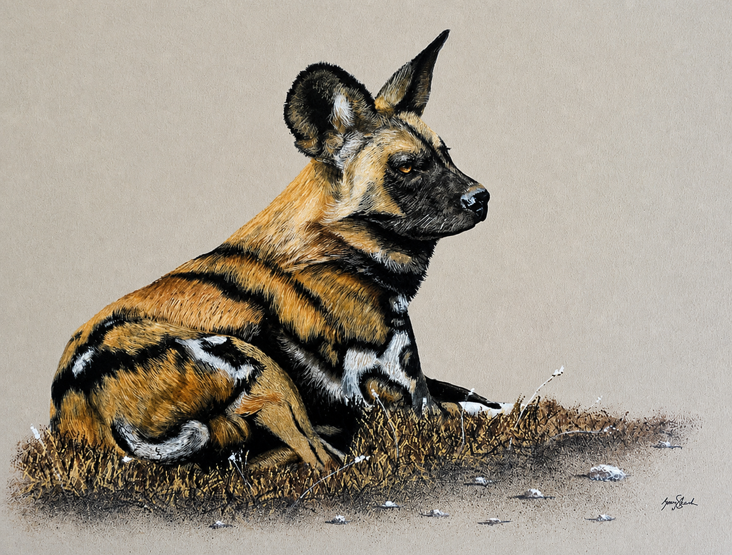 Original oil artwork featuring a resting African wild dog in a calm natural setting.