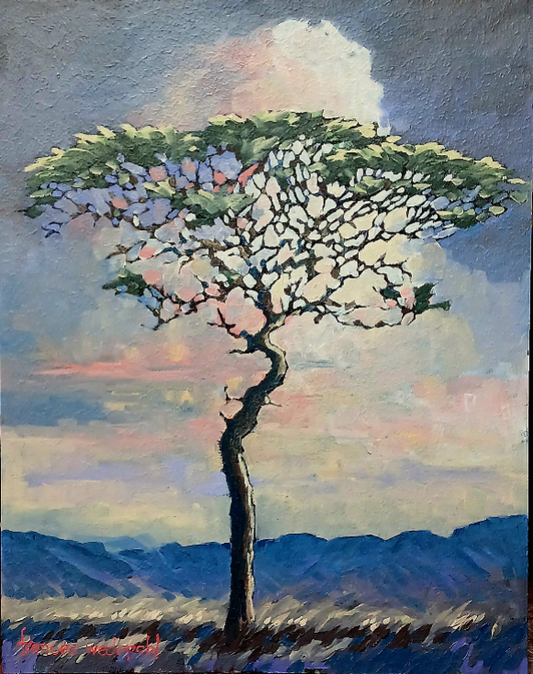 Acacia at Sunrise