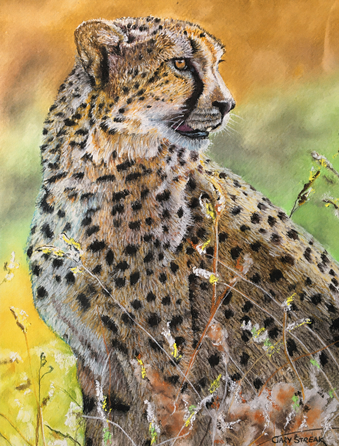 Gary Streak original oil artwork featuring a seated cheetah in grassland with a soft golden background.