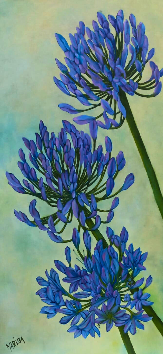 Oil painting of three blue agapanthus flowers in full bloom, painted with expressive brushstrokes against a soft green and blue background.