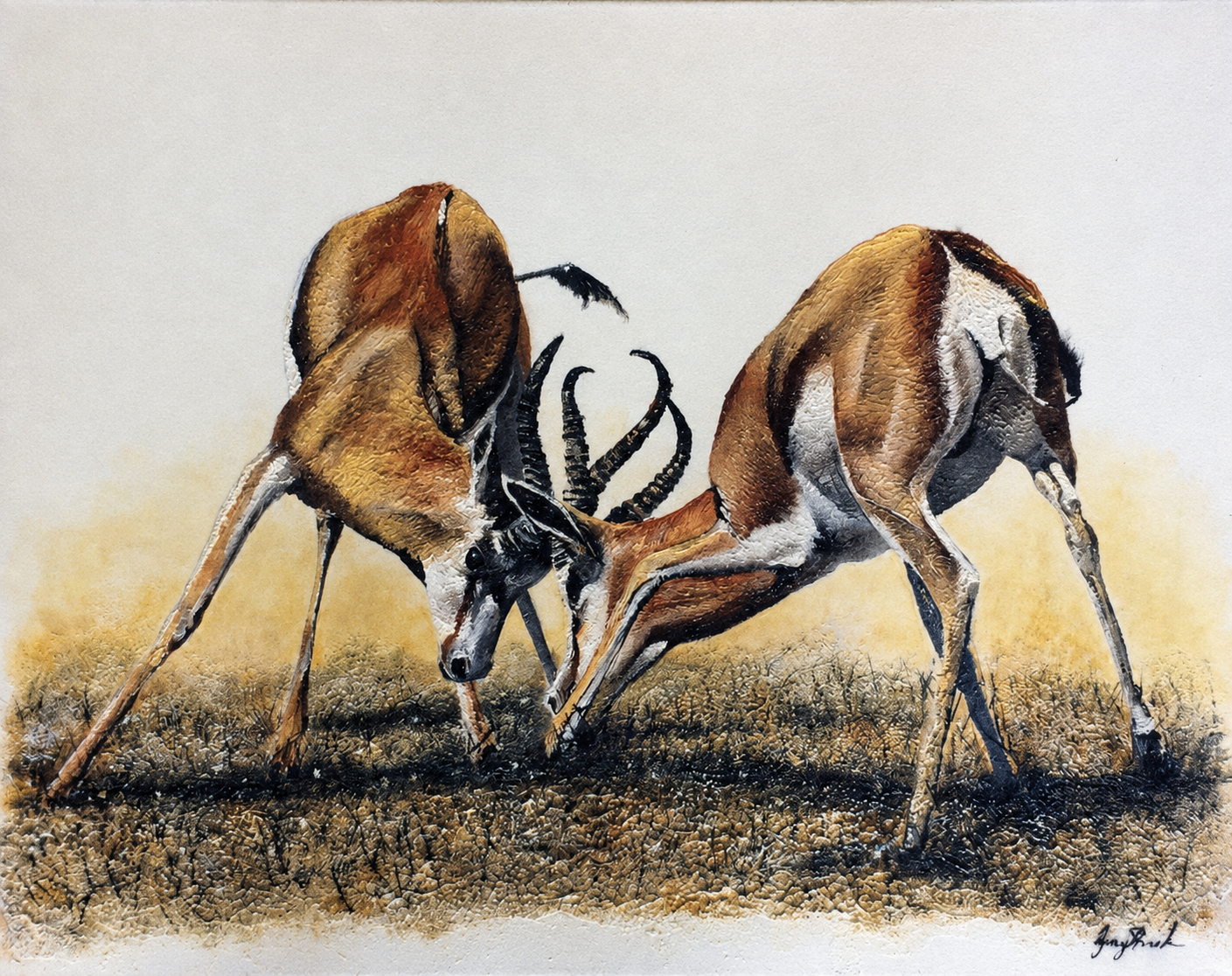 Original oil artwork featuring two springbok sparring with interlocked horns in a grassy landscape.