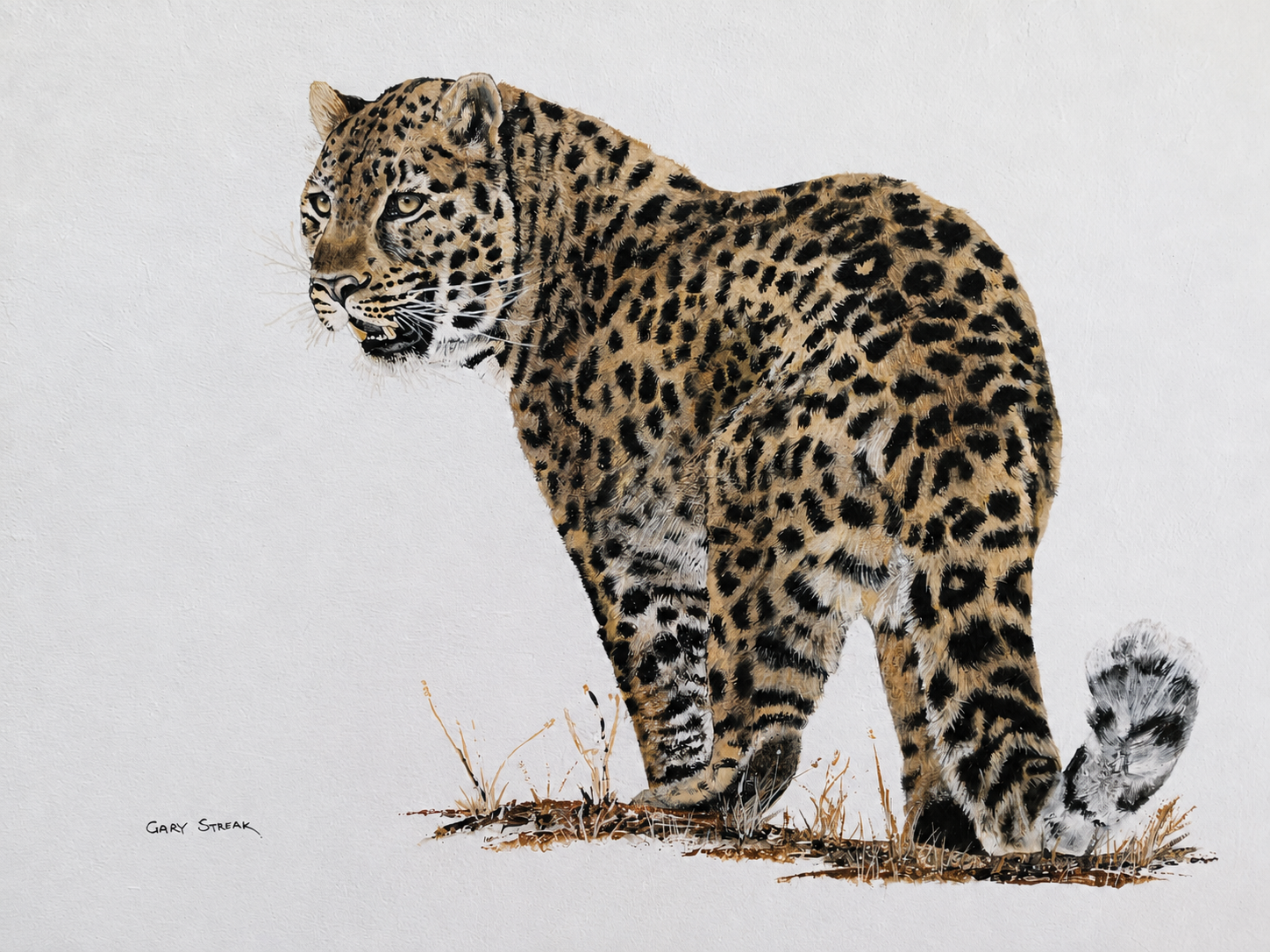 Original oil artwork featuring a standing leopard against a clean minimal background.