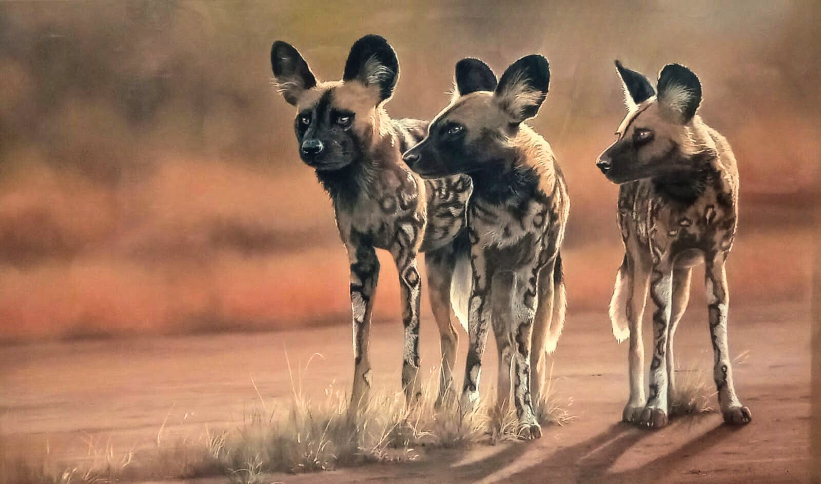 Pastel artwork of three African wild dogs standing on red earth, their spotted coats and alert ears rendered in rich, textured pastel.