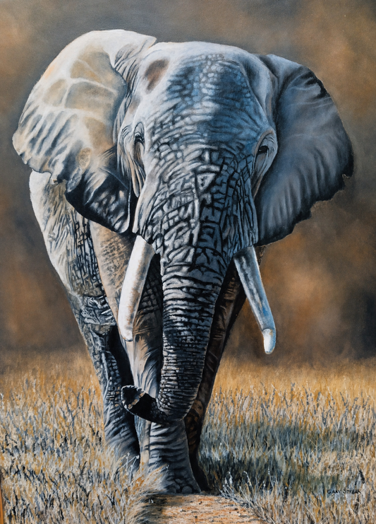 Original oil artwork featuring a powerful elephant walking forward through grassland in soft neutral tones.