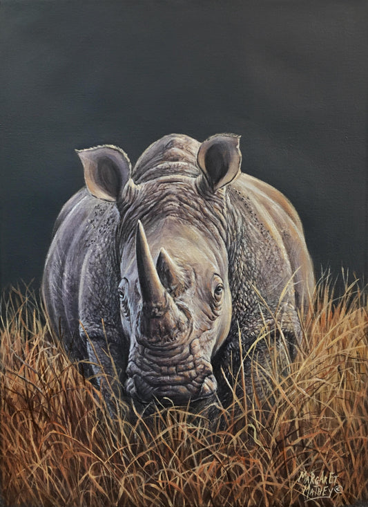 Rhino