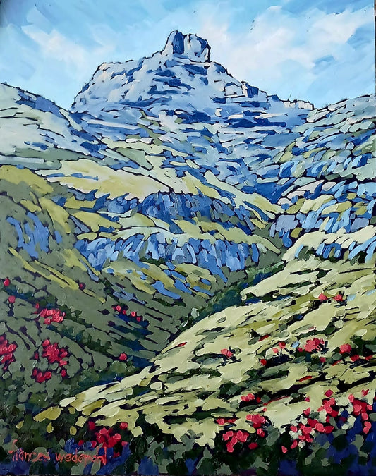 Sentinel Heights Drakensberg