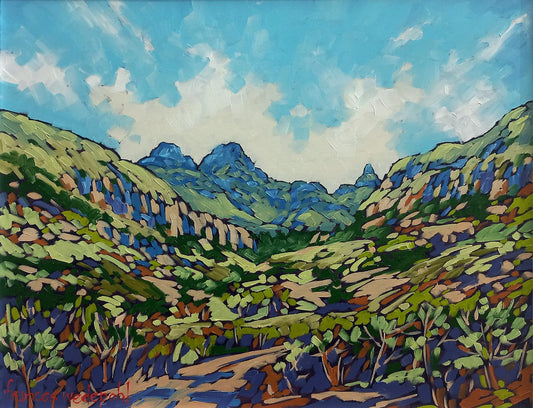 Cathedral Peak Summer