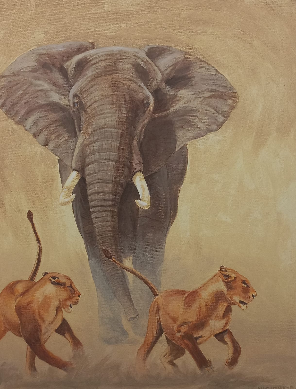 Elephant Chasing Lioness
