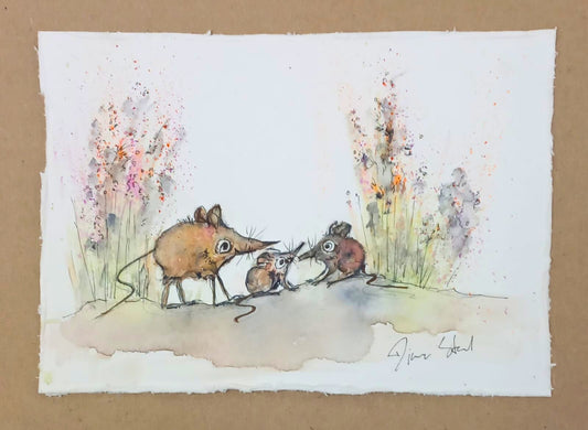 Elephant Shrew (Miniature)