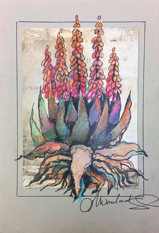 Aloe in Orange Bloom (Miniature)
