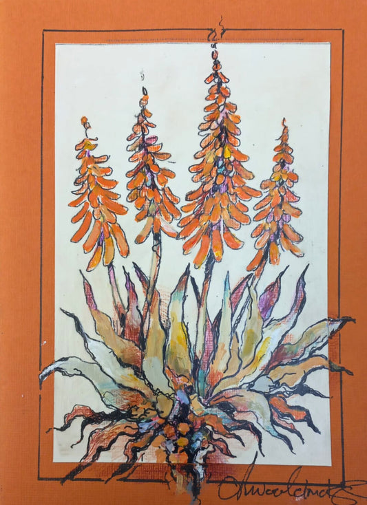 Aloe Soaring (Miniature)