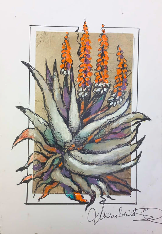 Aloe Awakening (Miniature)