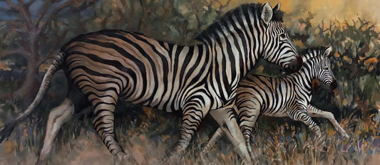 "Run Baby Run" (Zebra and Foal)