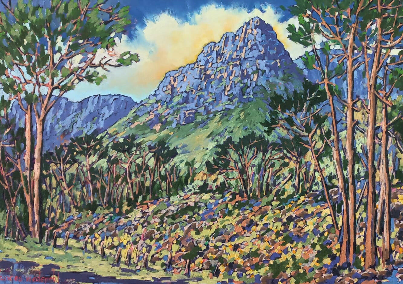 Sunlit Peak Through the Trees