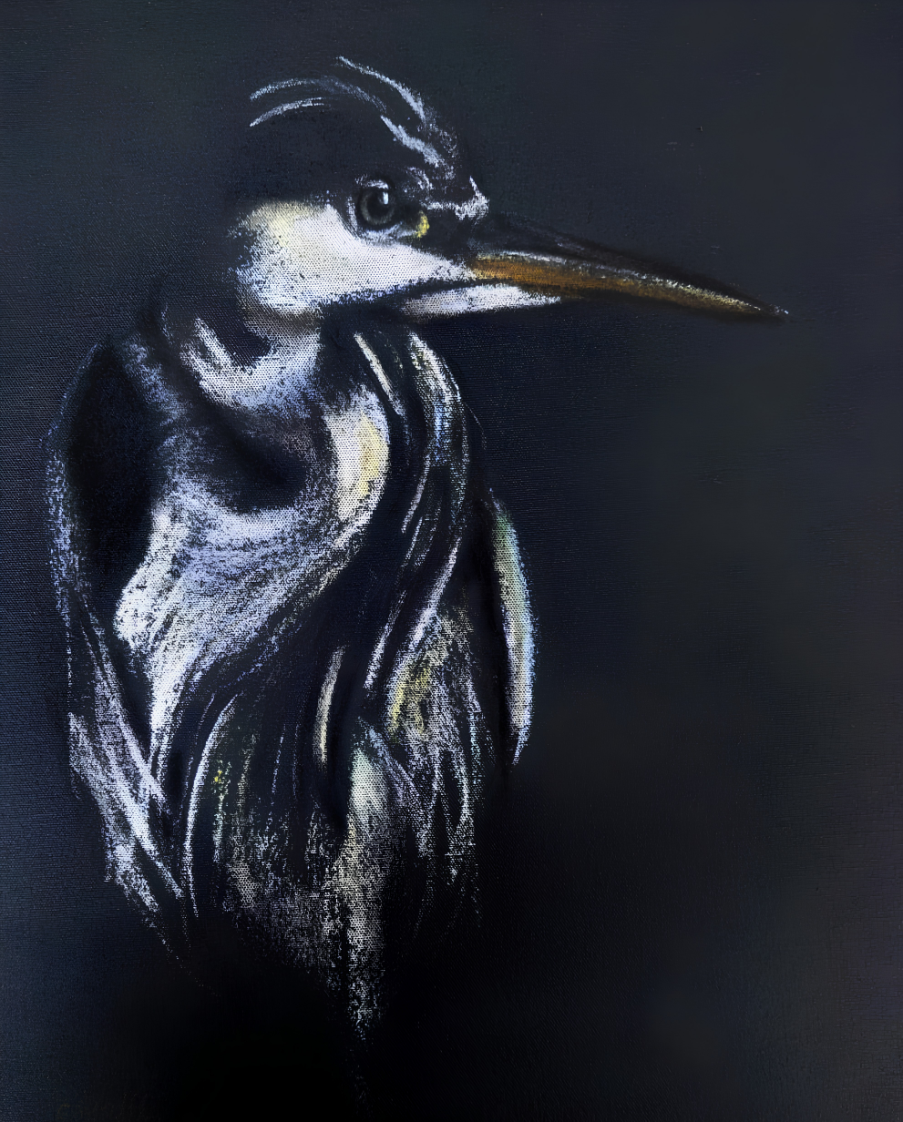 Cornelie Wolff oil artwork on stretched canvas depicting a close-up heron portrait with a long beak against a deep black background