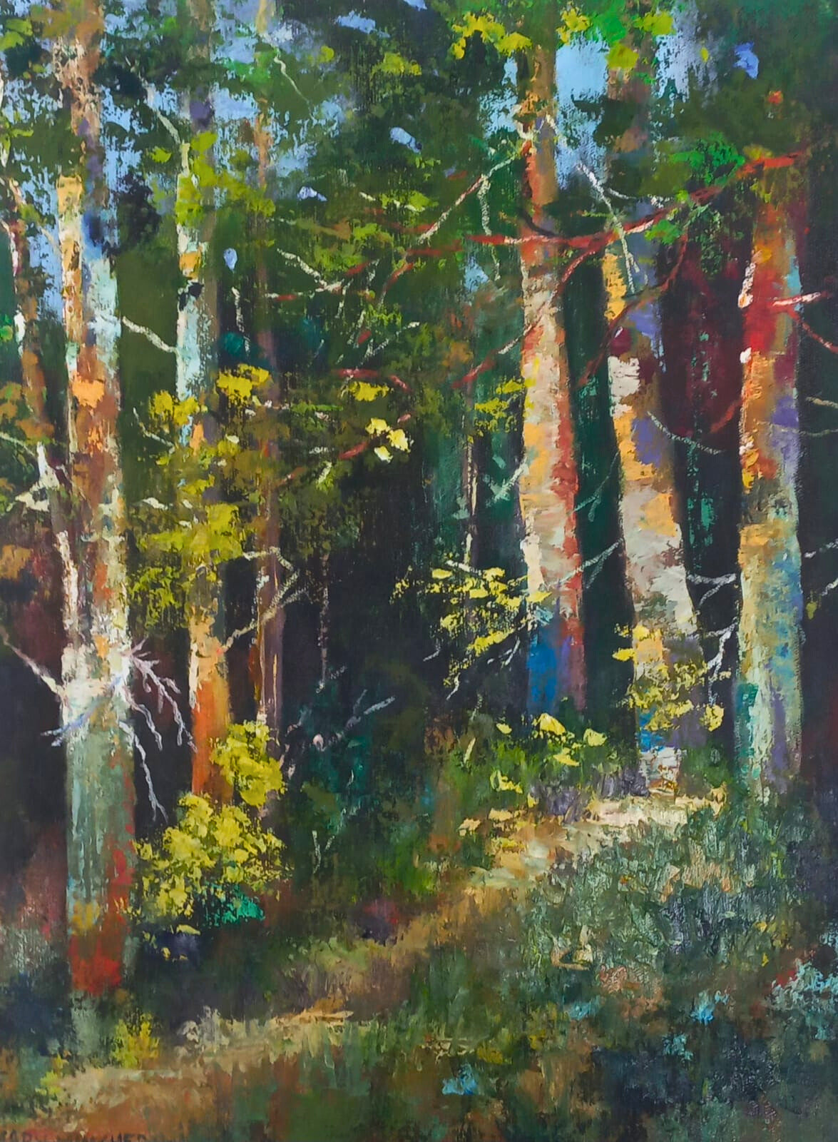 Forest Trees