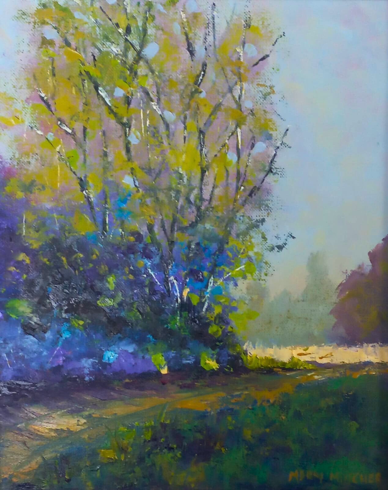 Forest Path