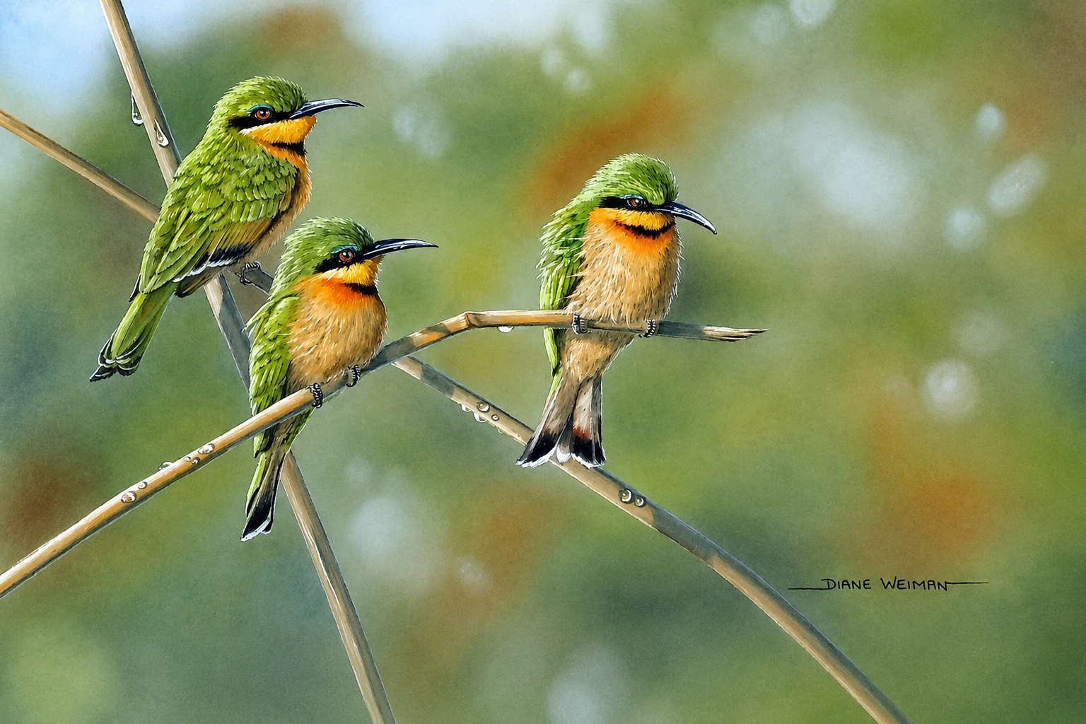 Bee Eaters original pastel bird artwork by Diane Weiman depicting three colourful bee eaters perched on branches