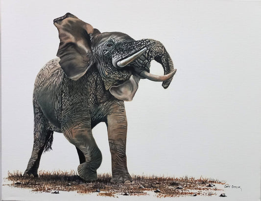 "Musth Season" (Elephant)