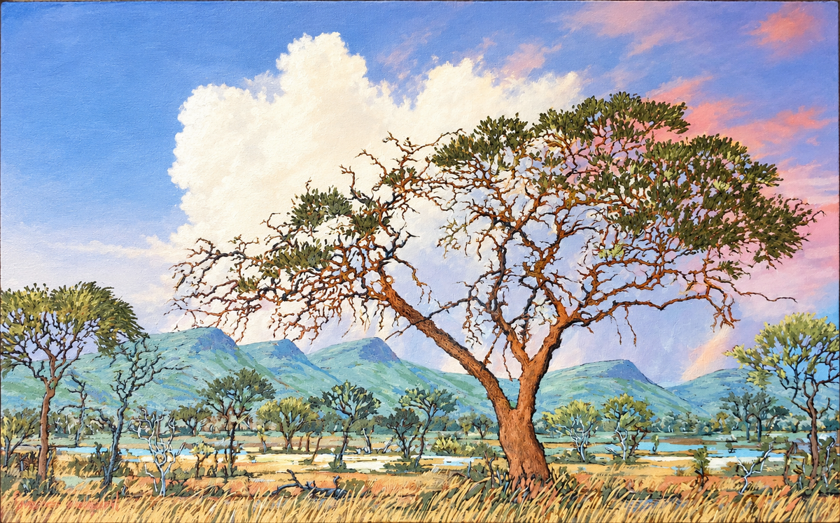 Magaliesberg Acacia, an original oil landscape painting by Frances Wedepohl featuring an acacia tree and atmospheric South African scenery.