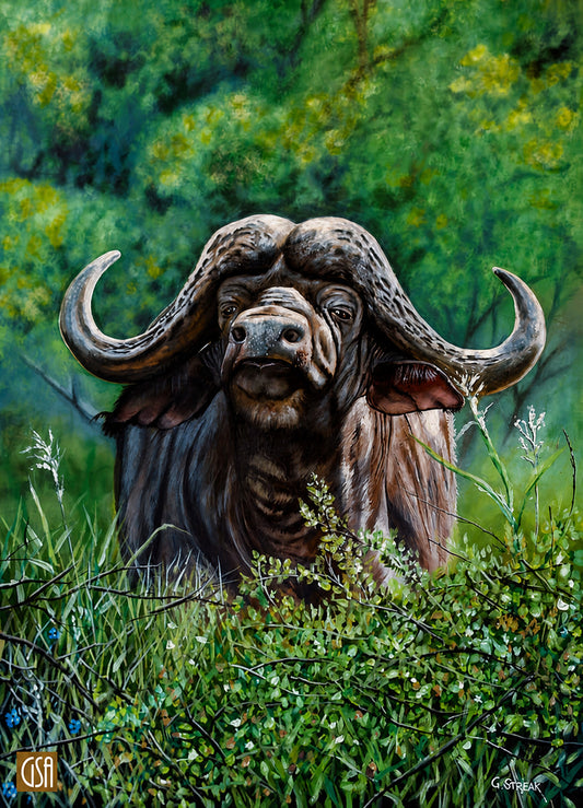 Original oil artwork featuring an African buffalo standing among lush green bushveld foliage.