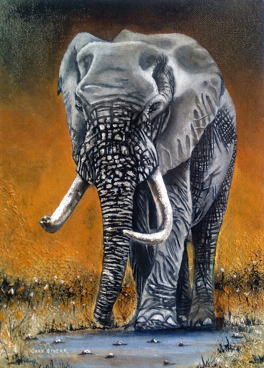 Gary Streak original oil painting on stretched canvas depicting an African elephant standing at a waterhole against a glowing amber landscape