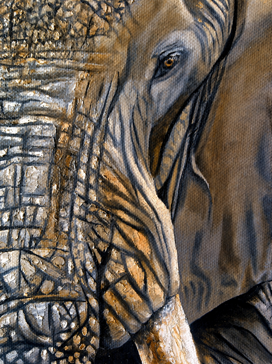 Gary Streak original oil painting on stretched canvas featuring a close-up African elephant portrait with a detailed eye, trunk and textured skin