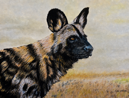 Gary Streak original oil painting on stretched canvas depicting an African wild dog in profile with distinctive black, tan and cream markings