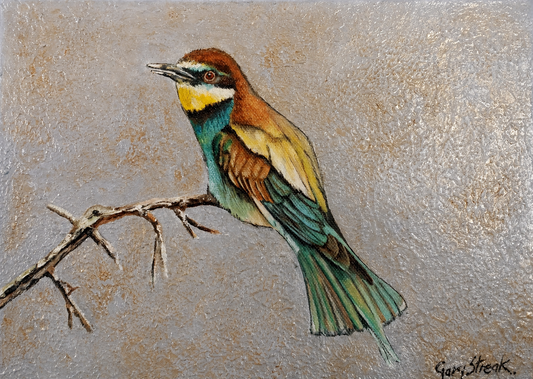 Gary Streak original oil painting on stretched canvas depicting a European bee-eater perched on a branch with colourful turquoise and golden plumage