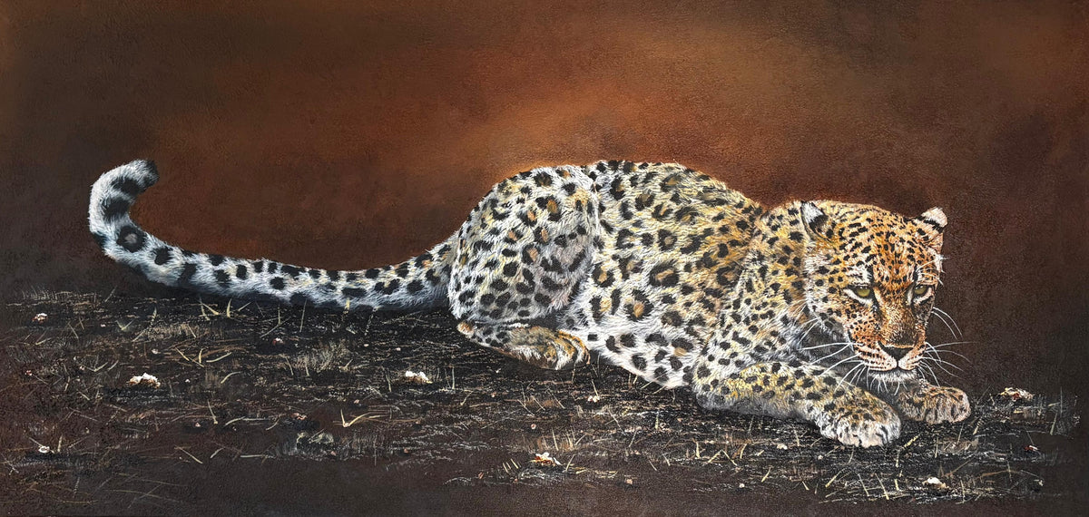 Gary Streak original wildlife artwork depicting a resting leopard with detailed spotted fur against a dramatic burnt-brown and charcoal background