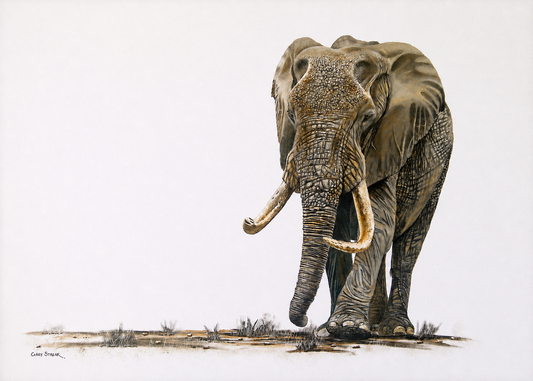 Gary Streak original oil painting on stretched canvas depicting a lone African elephant walking forward against a clean neutral background