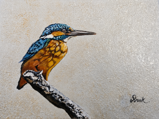 Gary Streak original oil painting on stretched canvas depicting a malachite kingfisher perched on a branch with brilliant blue and amber plumage