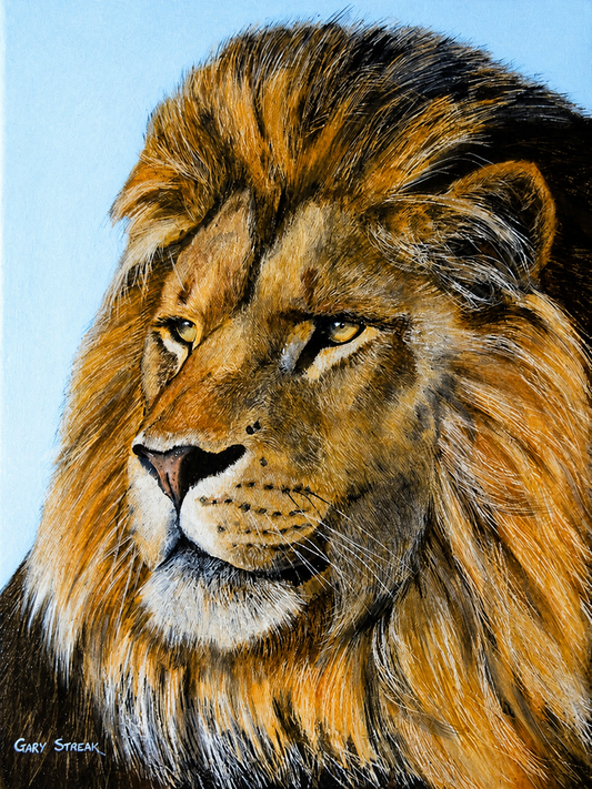 Gary Streak original oil painting on stretched canvas depicting a detailed male lion portrait with a golden mane and powerful gaze
