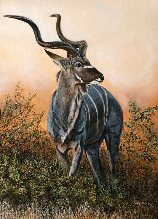 Original oil artwork featuring a nyala bull with sweeping horns standing among thornveld foliage.