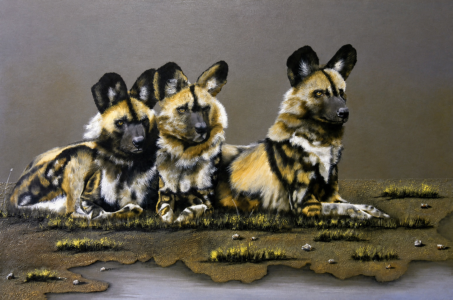 Gary Streak original oil painting on stretched canvas depicting three African wild dogs resting together beside a shallow pool
