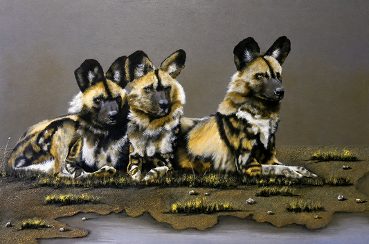 Gary Streak original oil painting on stretched canvas depicting three African wild dogs resting together beside a shallow pool