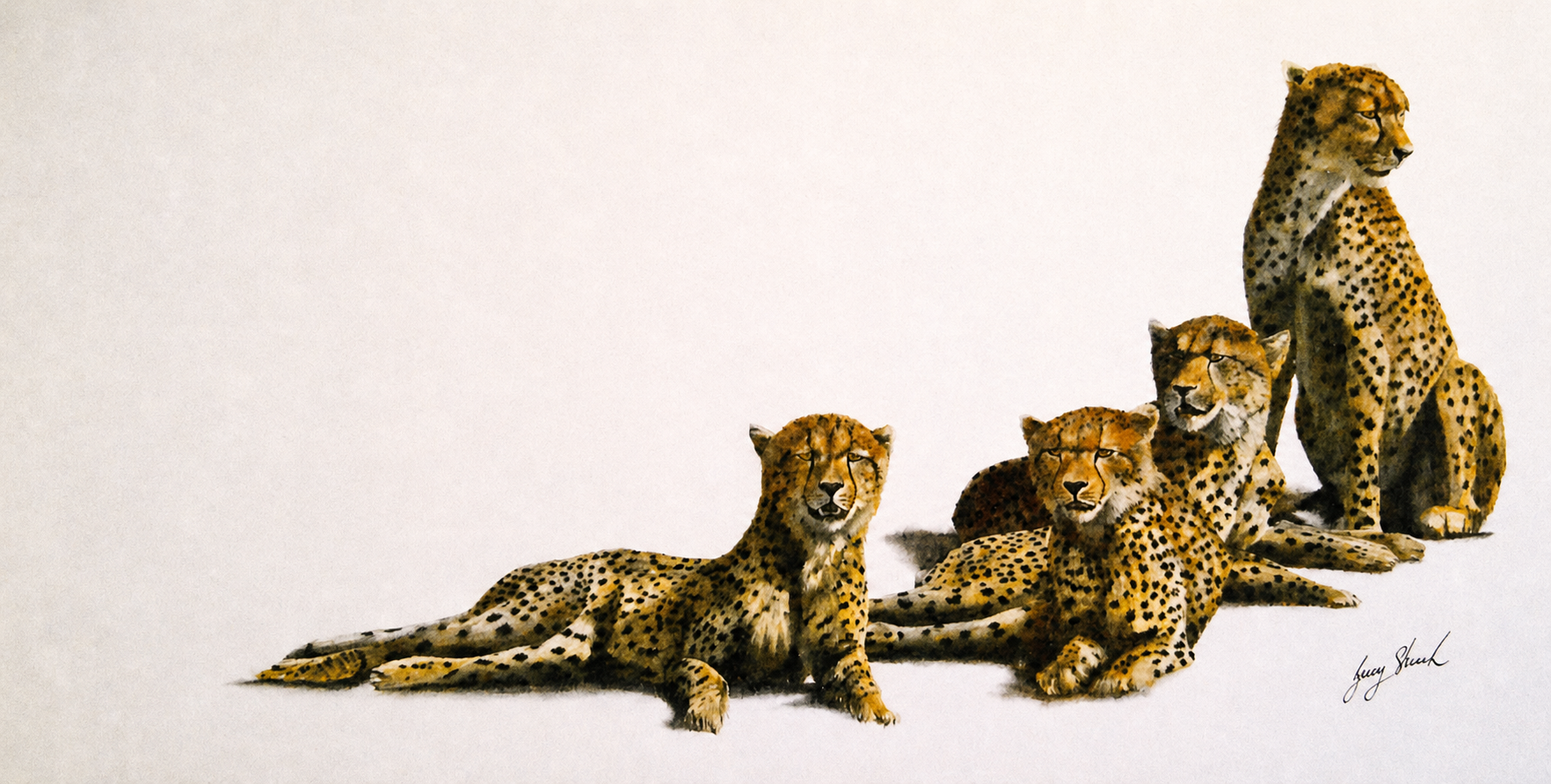 Gary Streak original oil painting on stretched canvas depicting a resting group of cheetahs against a clean neutral background
