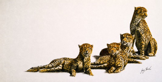 Gary Streak original oil painting on stretched canvas depicting a resting group of cheetahs against a clean neutral background