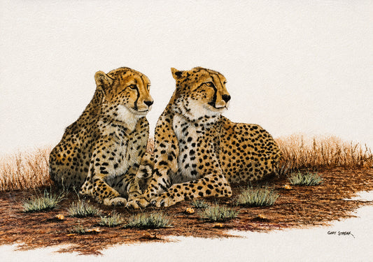 Original oil artwork featuring two resting cheetahs together in a calm savanna setting.