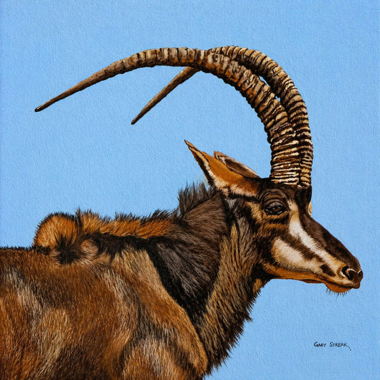 Original oil artwork featuring a sable antelope portrait against a clear blue background.