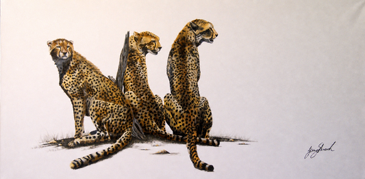 Gary Streak original oil painting on stretched canvas depicting three alert cheetahs seated together against a neutral background