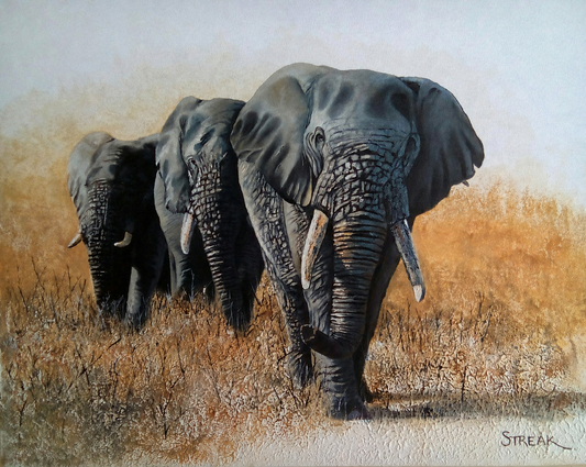 Gary Streak original oil painting on stretched canvas depicting an African elephant herd walking forward through dry golden grass