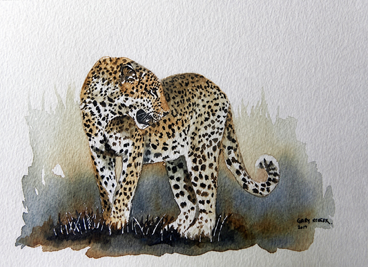Gary Streak original watercolour artwork on artist paper depicting a leopard standing in profile and turning its head to look back