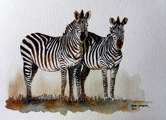 Gary Streak original watercolour artwork on artist paper depicting a pair of zebras standing together on sparse natural ground